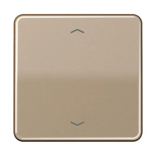 Jung Touche de commande standard CD 1700 P GB