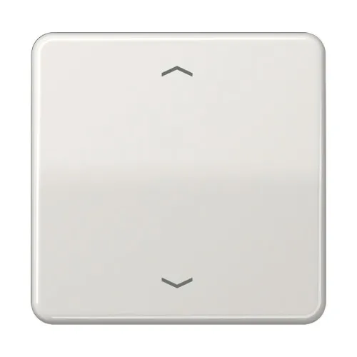 Jung Touche de commande standard CD 1700 P LG