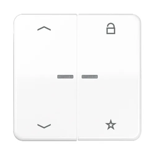 Jung eNet Télécommande radio FM CD 1701 P WW