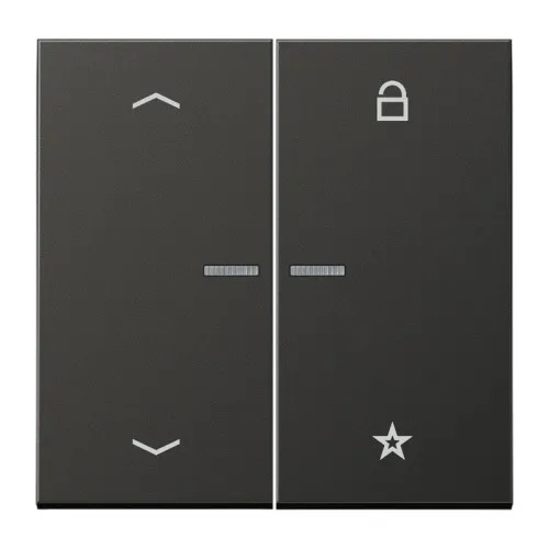 Jung eNet Bouton de commande radio FM AL 1701 P AN