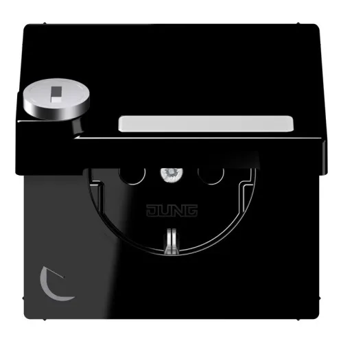 Prise SCHUKO Jung 16A 250V LS 1520 NAKLSL SW