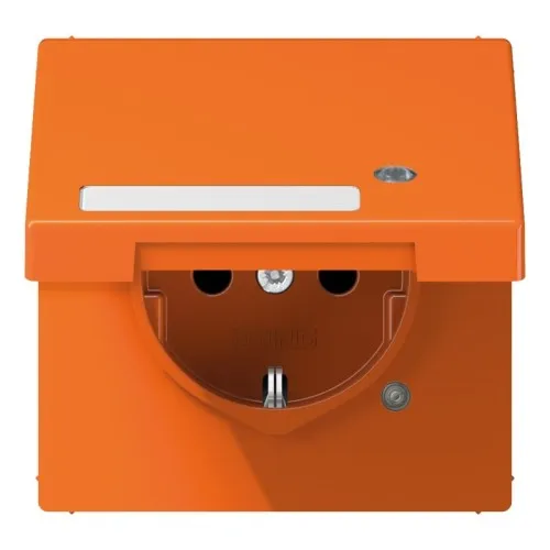 Prise SCHUKO Jung 16A 250V LS 1520 NAKLKO O