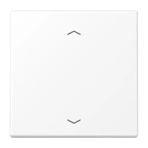 Jung Touche de commande standard LS 1700 P WWM