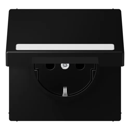 Prise SCHUKO Jung LS 1520 BFNAKL SWM