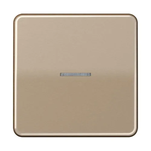 Jung KNX RF Taster 1fach CD 10911 ST RF GB