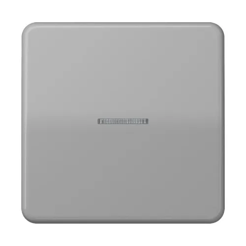 Jung Taster 1fach BT CD 17101 GR