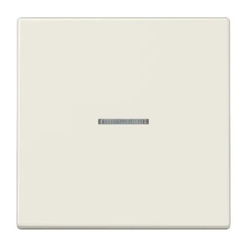 Jung Taster 1fach BT LS 17101