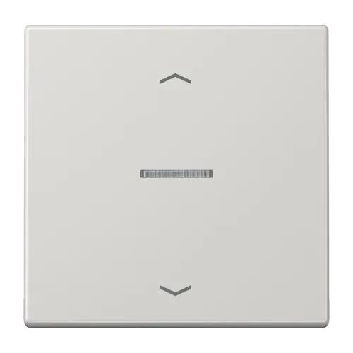 Jung Taster 1fach BT LS 17101 P LG