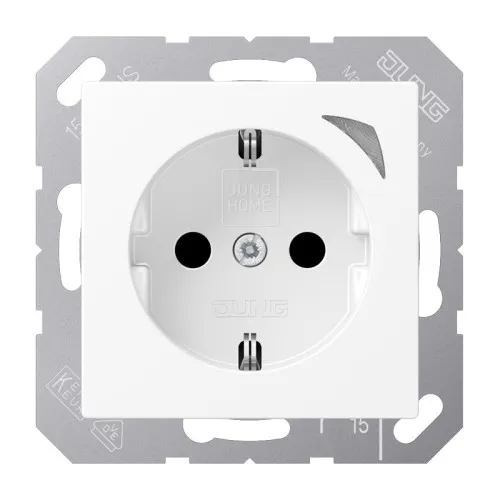 Jung Prise SCHUKO BT A 1521 SE WWM