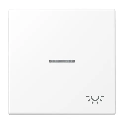 Jung Bouton-poussoir 1 voie LS 990 KO5 L WWM
