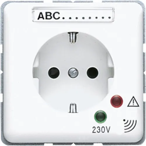 Jung Prise SCHUKO CD 521 NAUF WW