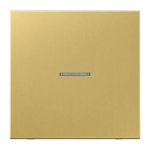 Jung Bouton-poussoir 1 voie BT ME 17101 C