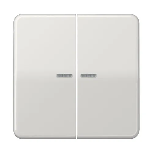 Jung Levier lumineux pour bouton-poussoir lgr CD 595 KO5 LG