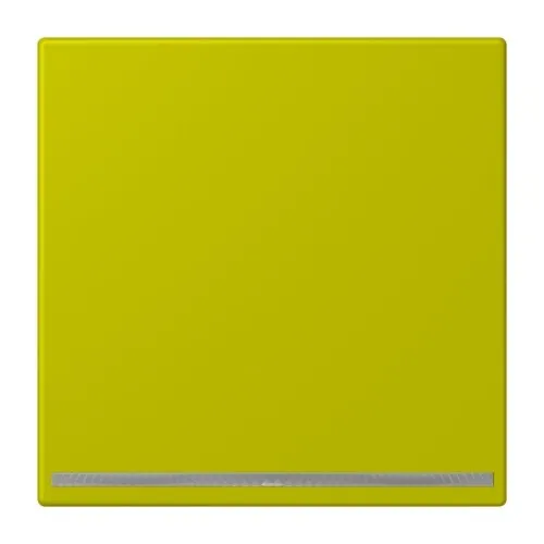 Jung LED-Orientierungslicht LC 1539-OO LNW 249