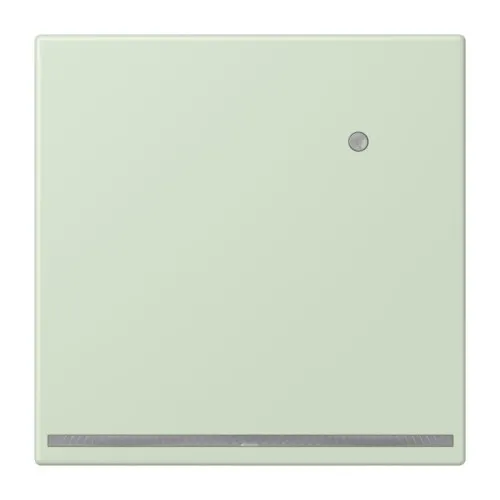 Jung LED-Orientierungslicht LC 1539-O LNW 218