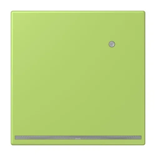 Jung LED-Orientierungslicht LC 1539-O LNW 221