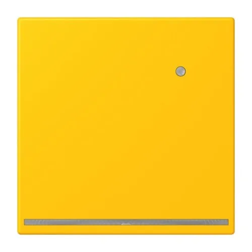 Jung LED-Orientierungslicht LC 1539-O LNW 263