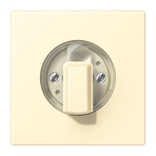Jung Cache pour interrupteur rotatif LC 1941 201