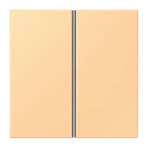 Jeu de touches Jung 2x LC 402 TSA 258