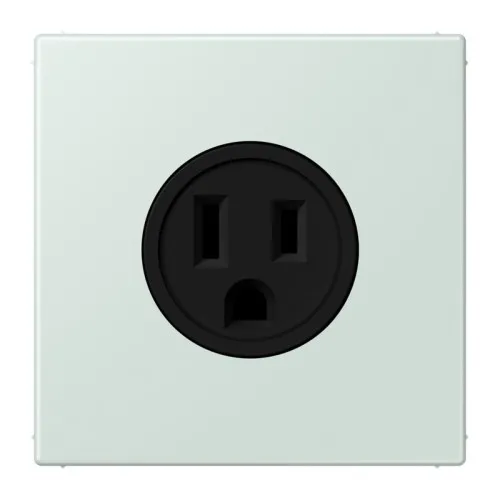 Jung Steckd NEMA15 LC 521-15 215