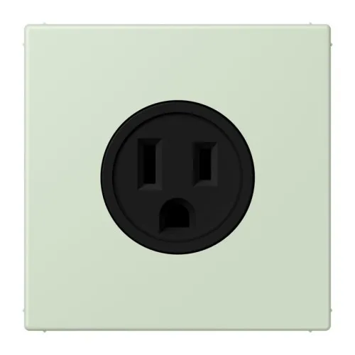 Jung Steckd NEMA15 LC 521-15 218