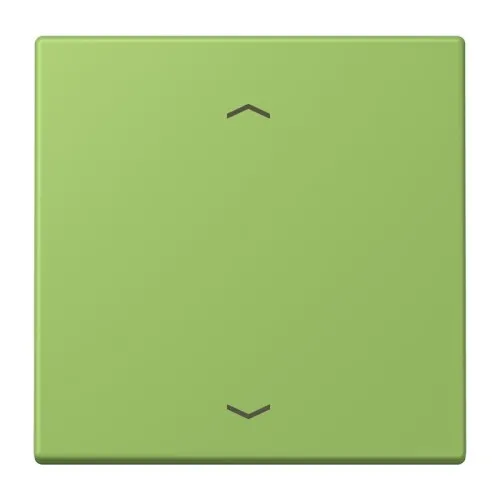 Jung Wippe 1fach avec symbole flèches LC 990 P 220, vert 31 (32051)