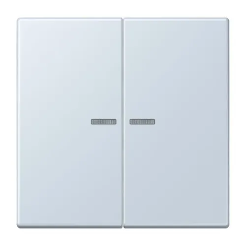 Jung Wippe 2fach m. Lichtleiter LC 995 KO5 209