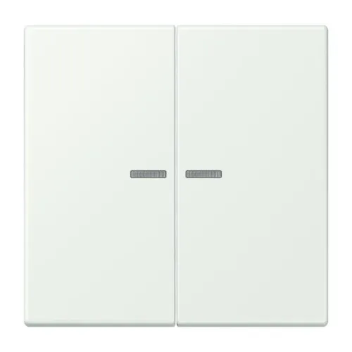 Jung Wippe 2fach m. Lichtleiter LC 995 KO5 210