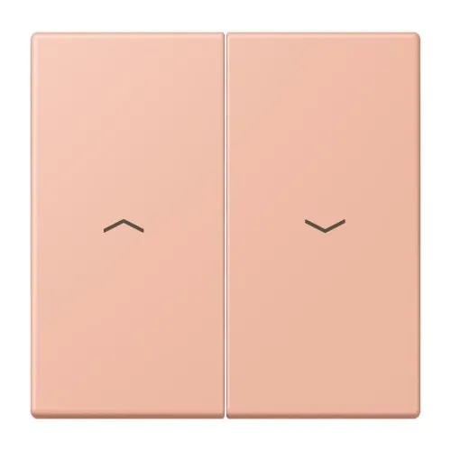 Jung Wippe 2fach avec symbole flèches LC 995 P 231