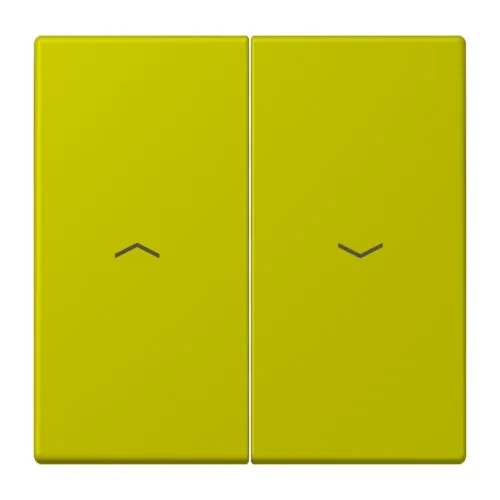 Jung Wippe 2fach avec symbole flèches LC 995 P 249
