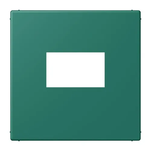 Jung cache pour chargeur USB LC 1969 USB 216