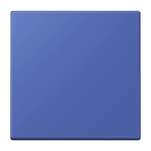 Jung Wippe pour bouton-poussoir 1 module LC 101 206