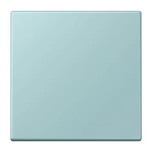Jung Wippe pour bouton-poussoir 1fach LC 101 214