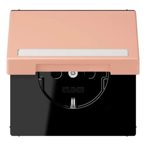 Prise SCHUKO Jung LC 1520 BFNAKL 231