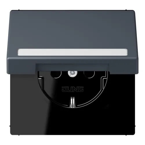 Jung SCHUKO Prise LC 1520 BFNAKL 262
