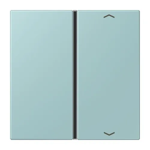 Jung Taste 1fach avec symbole flèches LC 401 TSAP 214