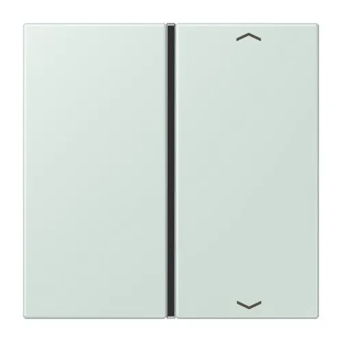 Jung Taste 1fach avec symbole flèches LC 401 TSAP 215