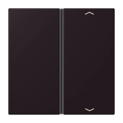 Jung Taste 1fach avec symbole flèches LC 401 TSAP 248