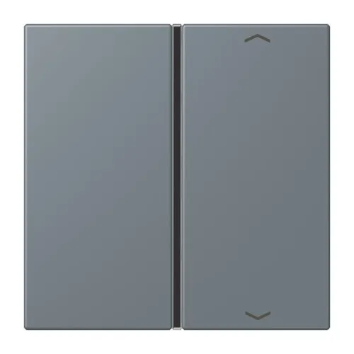 Jung Taste 1fach avec symbole flèches LC 401 TSAP 251