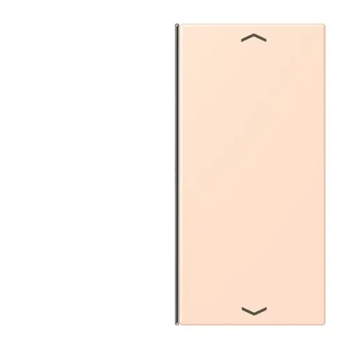 Jung Taste 2fach avec symbole flèches LC 402 TSAP 228