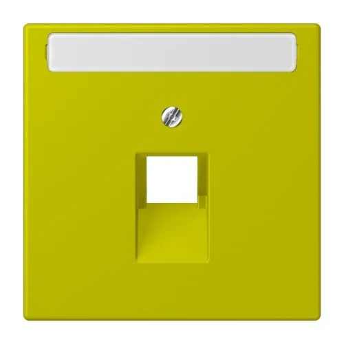 Couvercle Jung pour IAE/UAE LC 969-1 NAUA 249