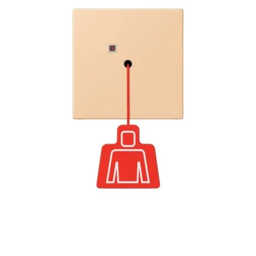 Jung Système d'appel d'urgence Bouton-poussoir à traction NRS LC 0834 ZT 237