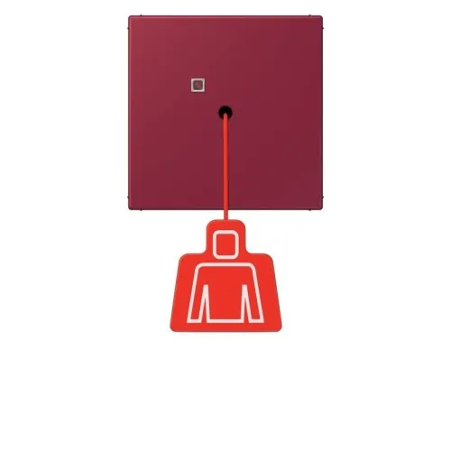 Jung Système d'appel d'urgence Bouton-poussoir à traction NRS LC 0834 ZT 255
