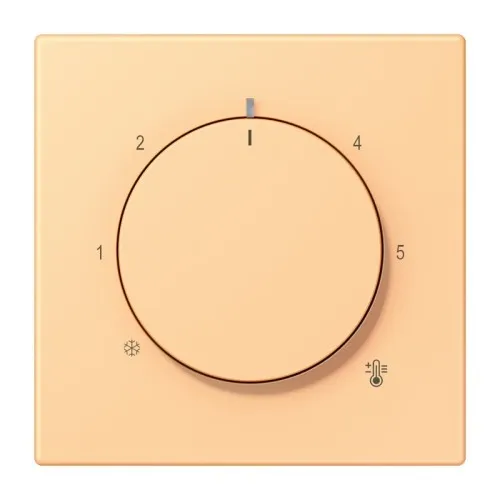 Jung Cache pour thermostat LC 1749 BF 258