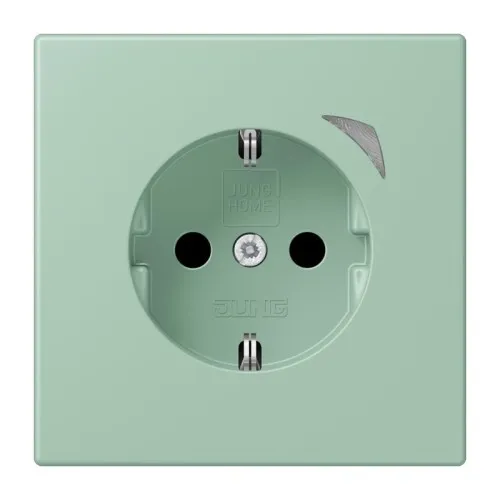 Jung SCHUKO prise BT LC 1521 SE 217