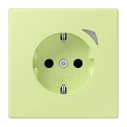 Jung SCHUKO prise BT LC 1521 SE 222