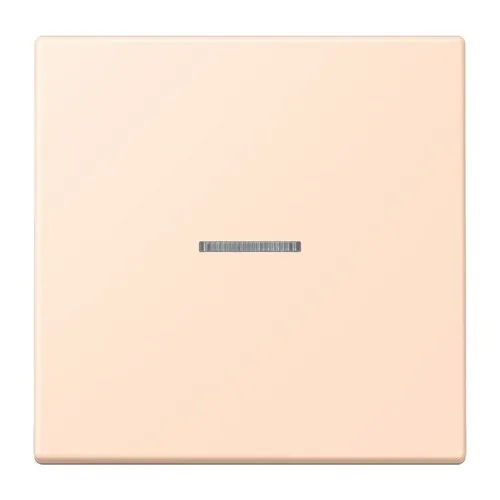 Jung eNet Taster Standard 1fach FM LC 1700 228