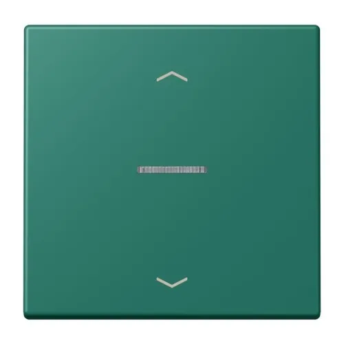 Jung eNet Taster Standard 1fach FM LC 1700 P 216