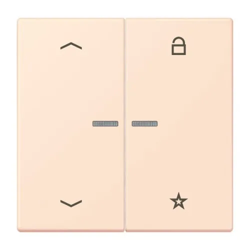 Jung eNet Taster Universal 1f. FM LC 1701 P 226