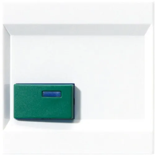 Jung Couvercle aws LS 642 C WW